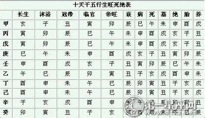 十二生旺庫|如何理解八字大運的十二長生？衰、病、死、墓、絕等。